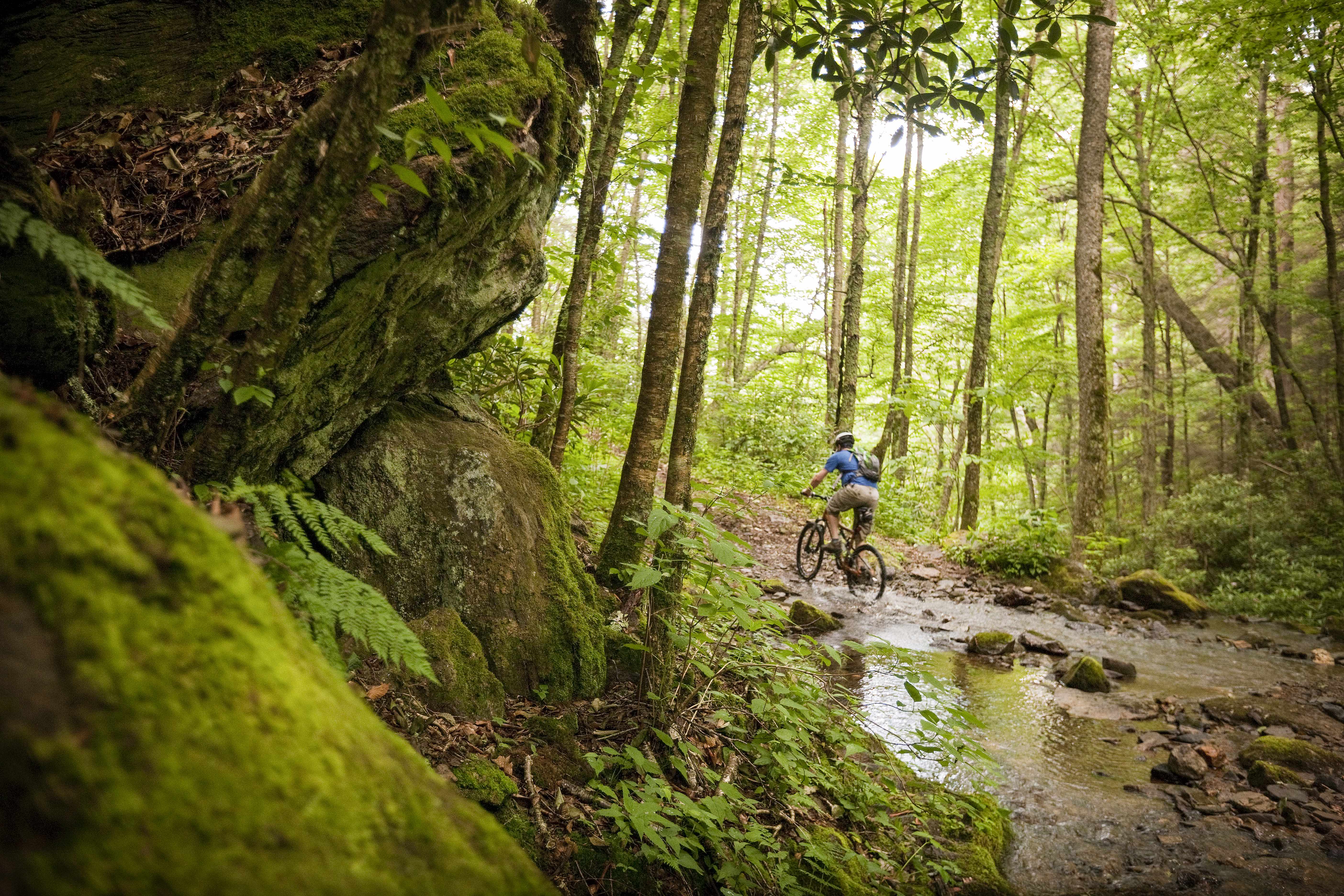 Mountain biker along Staire Creek