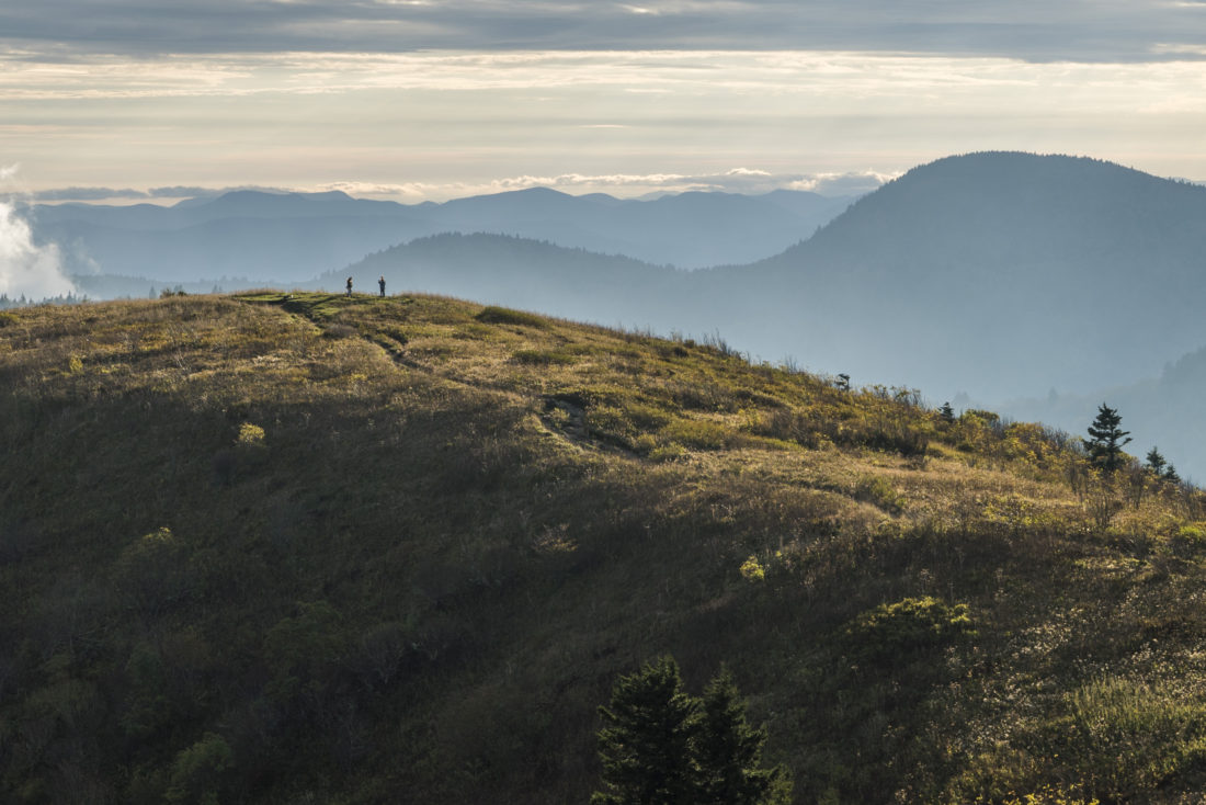 Black Balsam Knob